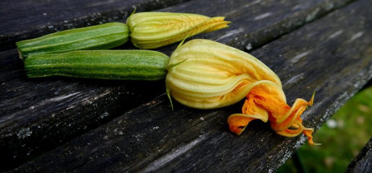 Beignet-fleur-de-courgette